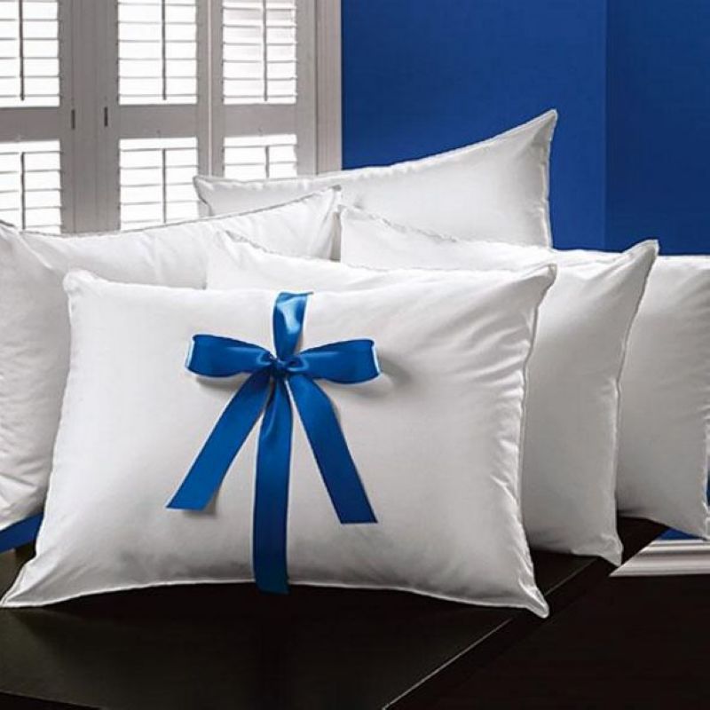 duck feather pillow