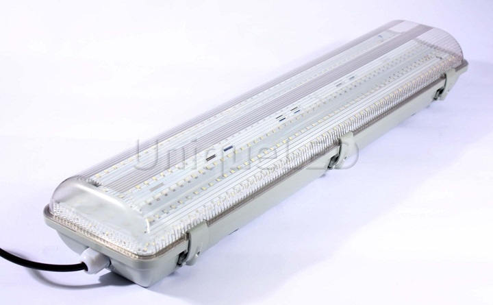 IP65 Tri-proof LED light