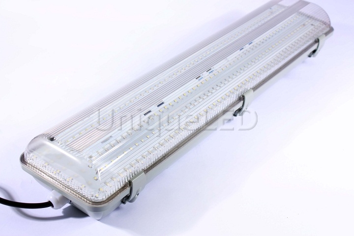 IP65 Tri-proof LED light