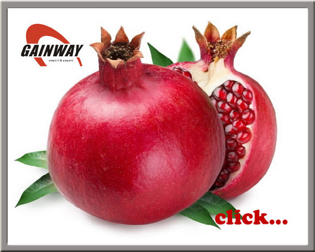 Pomegranate Extract powder