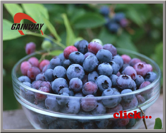 Bilberry Extracts