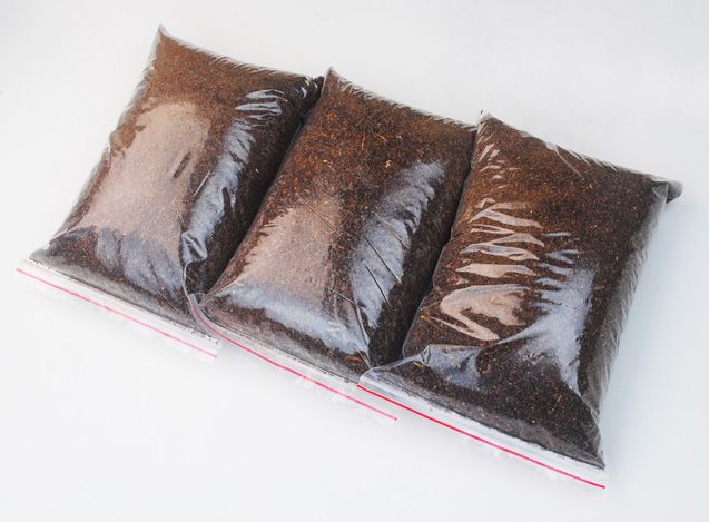 Organice camelia seed fertilizers, pesticides