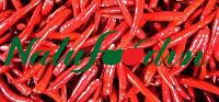 Red chilli