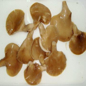canned oyster mushroom