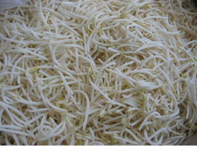 Canned mung Bean Sprouts