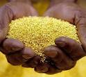 SELLER OF GOLD DUST AU 22 CARATS +