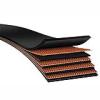 EP conveyor belt