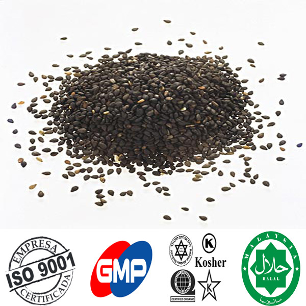Black Sesame Extract 10%~95% Sesamin