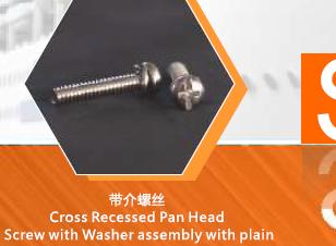 SS Cross Recessed Pan Head Screws