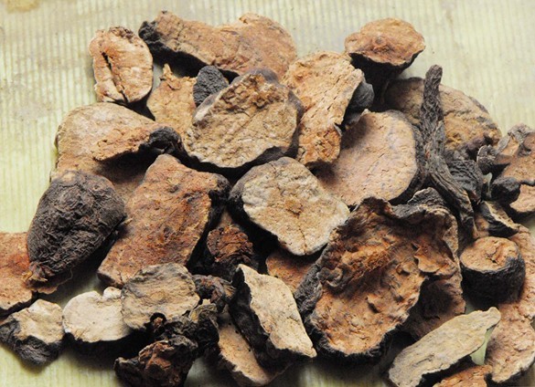 Ho Shou Wu Extract 2%（ ）