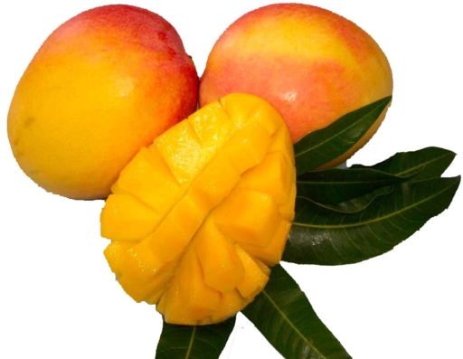Irvingia Gabonensis Extract20%