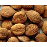 Bitter Apricot Extract Amygdalin