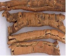 Peony bark extract