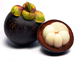 Garcinia Cambogia Extract 60% Hydroxycitric Acid