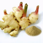 Ginger Root Extract 5% Gingerols