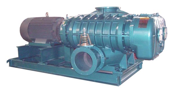rotary lobe blower