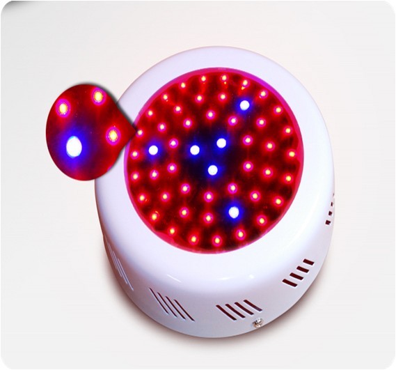 LED Grow Light