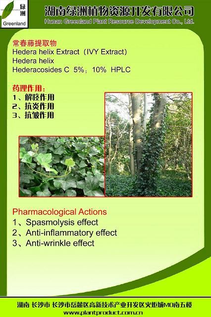Ivy Extract,Hederacoside C
