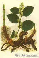 Resveratrol