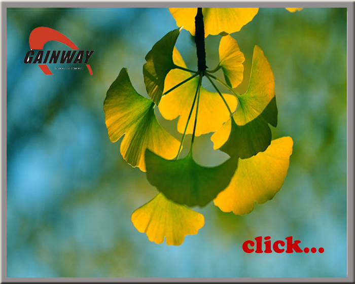 Herbal extract, Ginkgo Biloba Extract