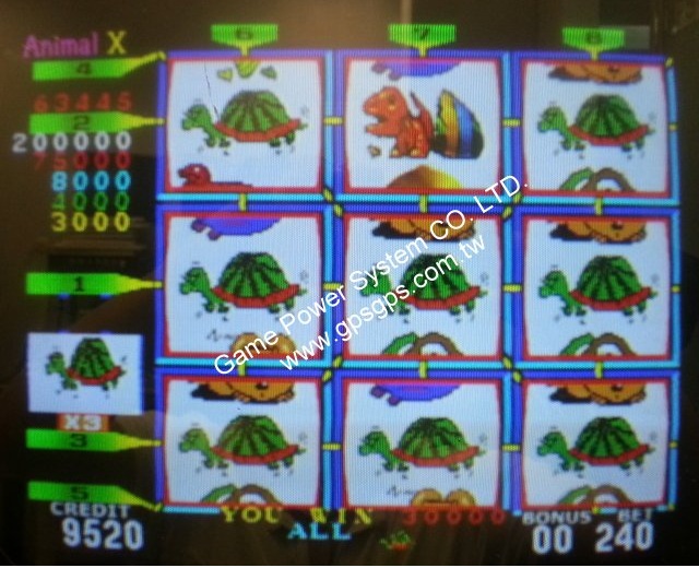 Video Slot Single Game