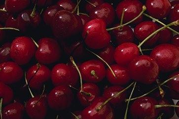 Sour cherry juice concentrate