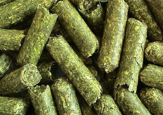 Alfalfa pellets
