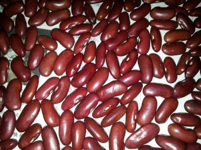 red kidney beans