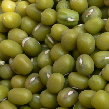 green mung beans