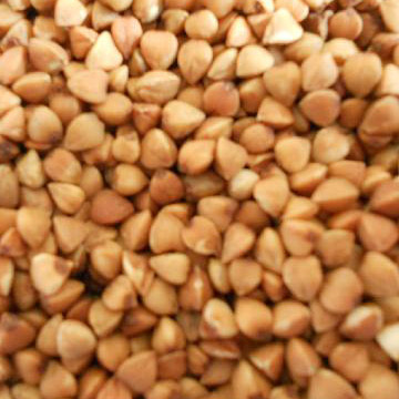 buckwheat