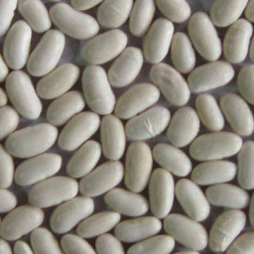 white kidney beans