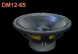 12'' 500W loudspeaker (DM12-65)