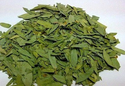 Senna Leaf P.E