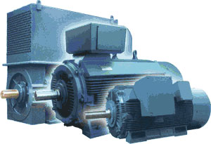 Medium/ High voltage motors