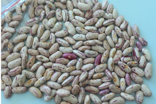 Light speckled kidney beans