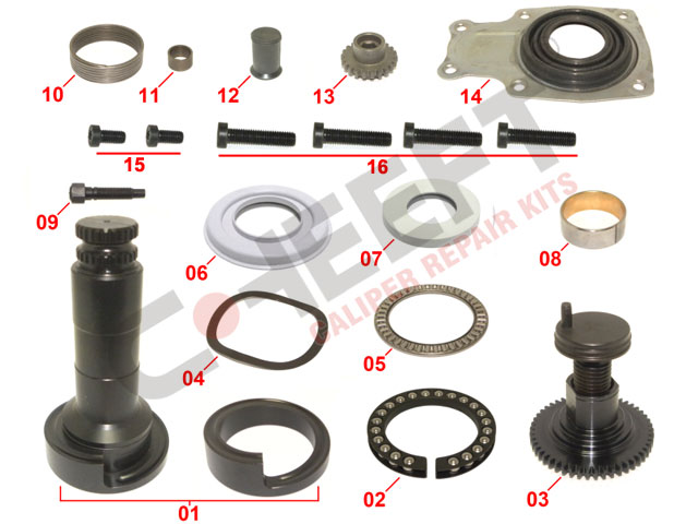 Caliper Overhaul Repair Kit (Rear - Left)