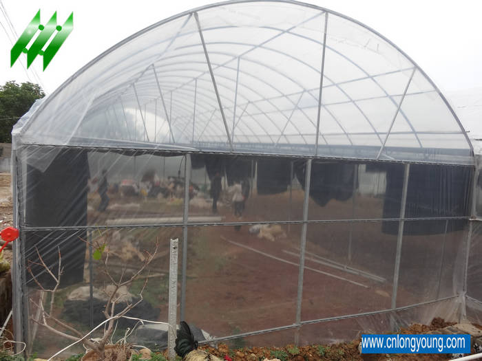Tunnel Greenhouse