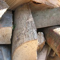 Firewood Logs