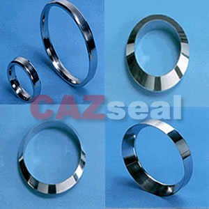 Ring Joint Gasket metal gasket