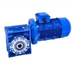 worm gear reducer