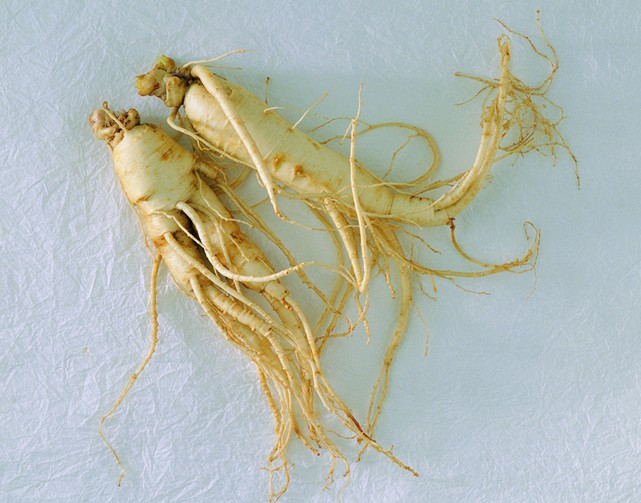 Panax Ginseng Extract