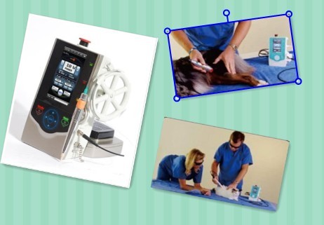 Vet Laser 10W