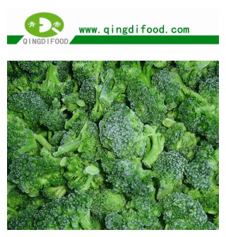IQF broccoli florets