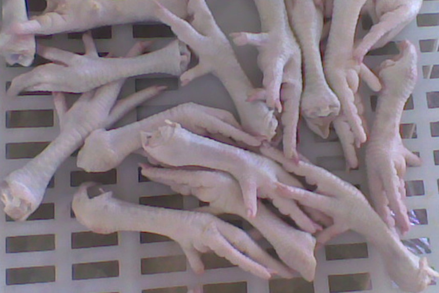 Frozen Chicken Feet and Paw Grade A