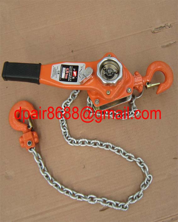 Ratchet hoist