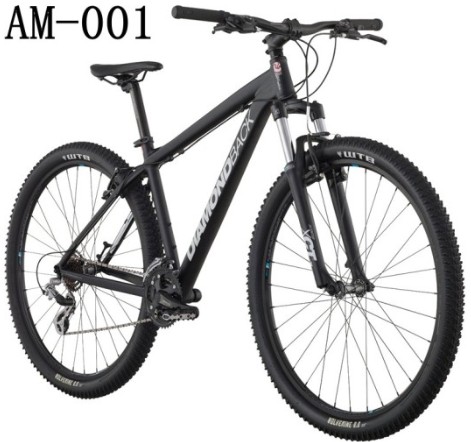 AM-001- 29-Inch Wheels Mountain Bike