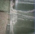 stainless steel wire mesh