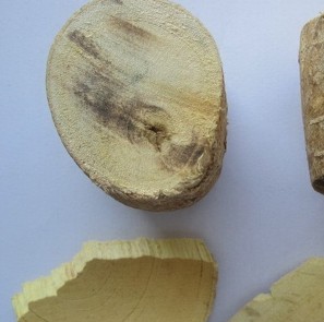 Supply Tongkat Ali Powder Extract