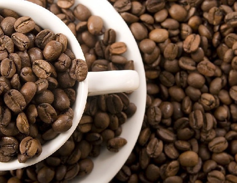 Supply Cocoa Extract Powder