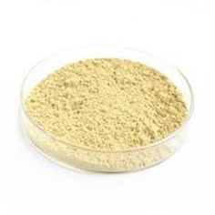 Flaxseed Hull Extract 20%~80%